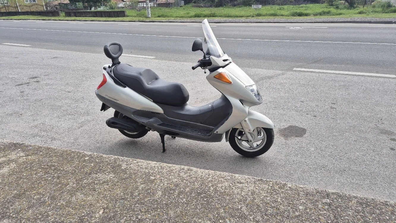 Honda Foresight 250 - изображение 9