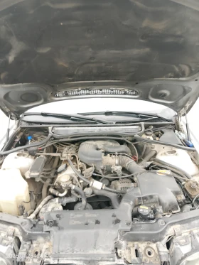 BMW 318 Газ бензин  - 1600 € / 3129.33 лв. - 42441396 10