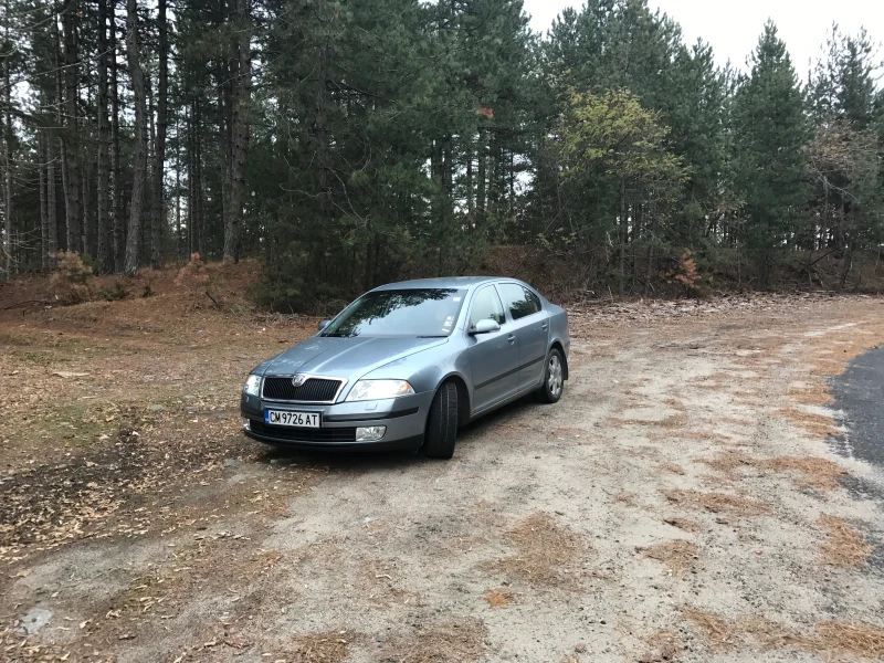 Skoda Octavia 1.9TDI, снимка 5 - Автомобили и джипове - 52242413