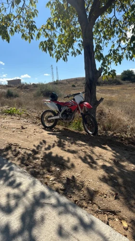 Honda Crf  - изображение 1