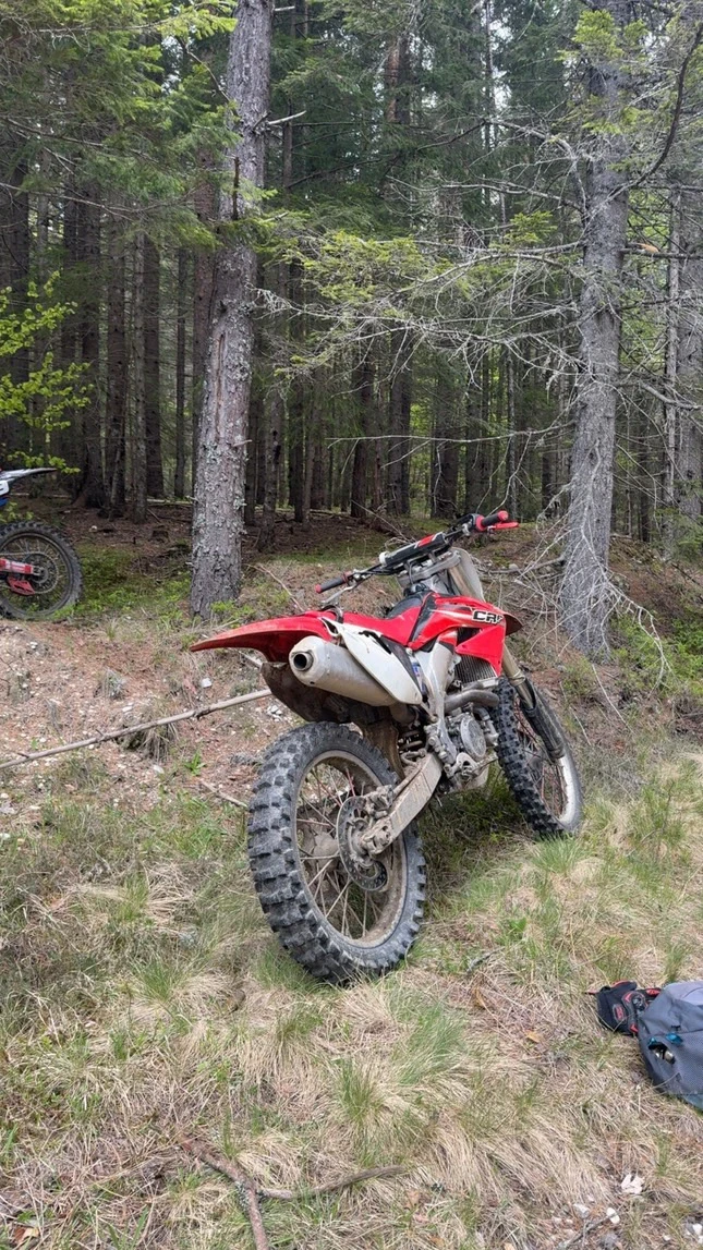 Honda Crf  - изображение 3