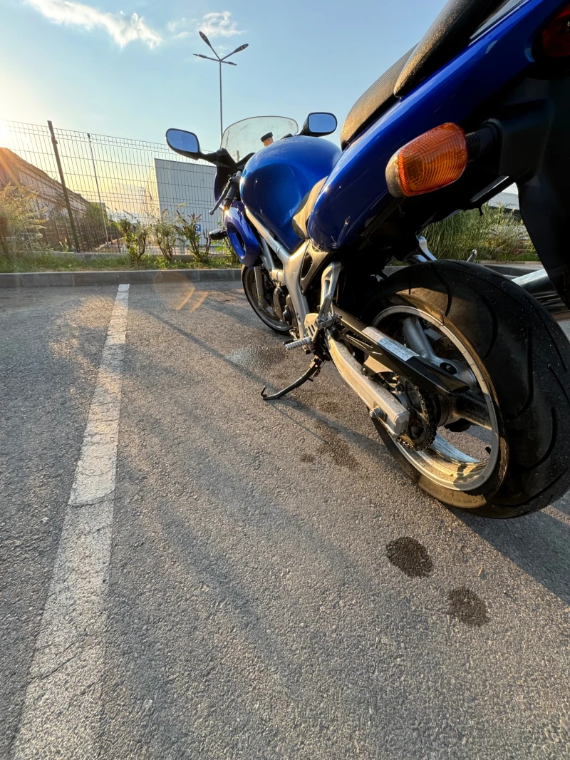 Suzuki SV, снимка 5 - Мотоциклети и мототехника - 52553680