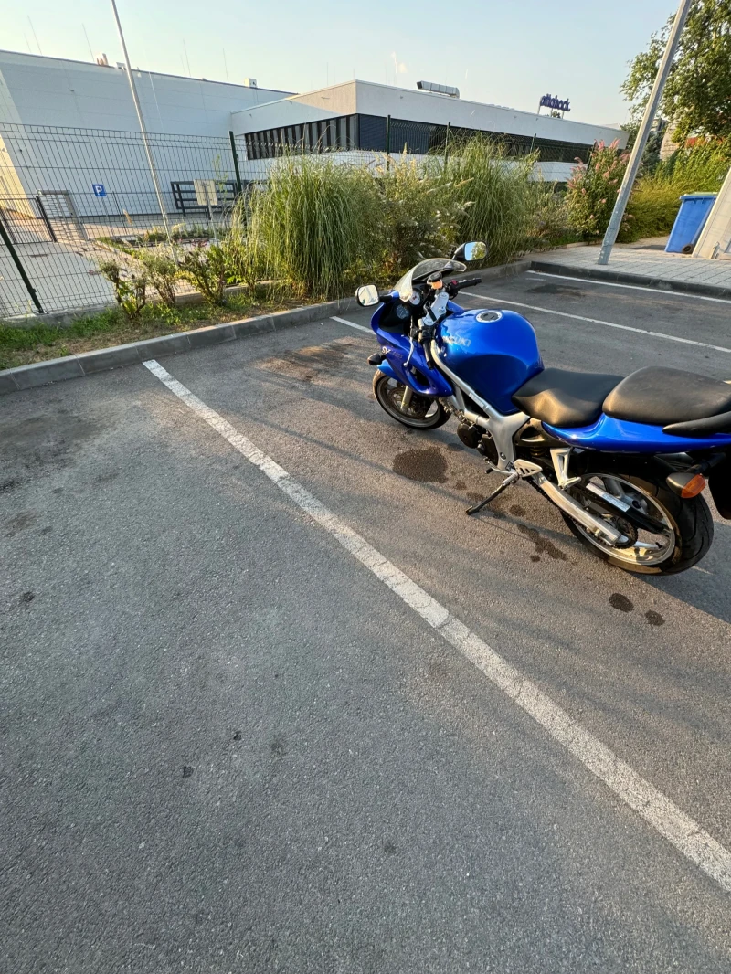 Suzuki SV, снимка 6 - Мотоциклети и мототехника - 52553680