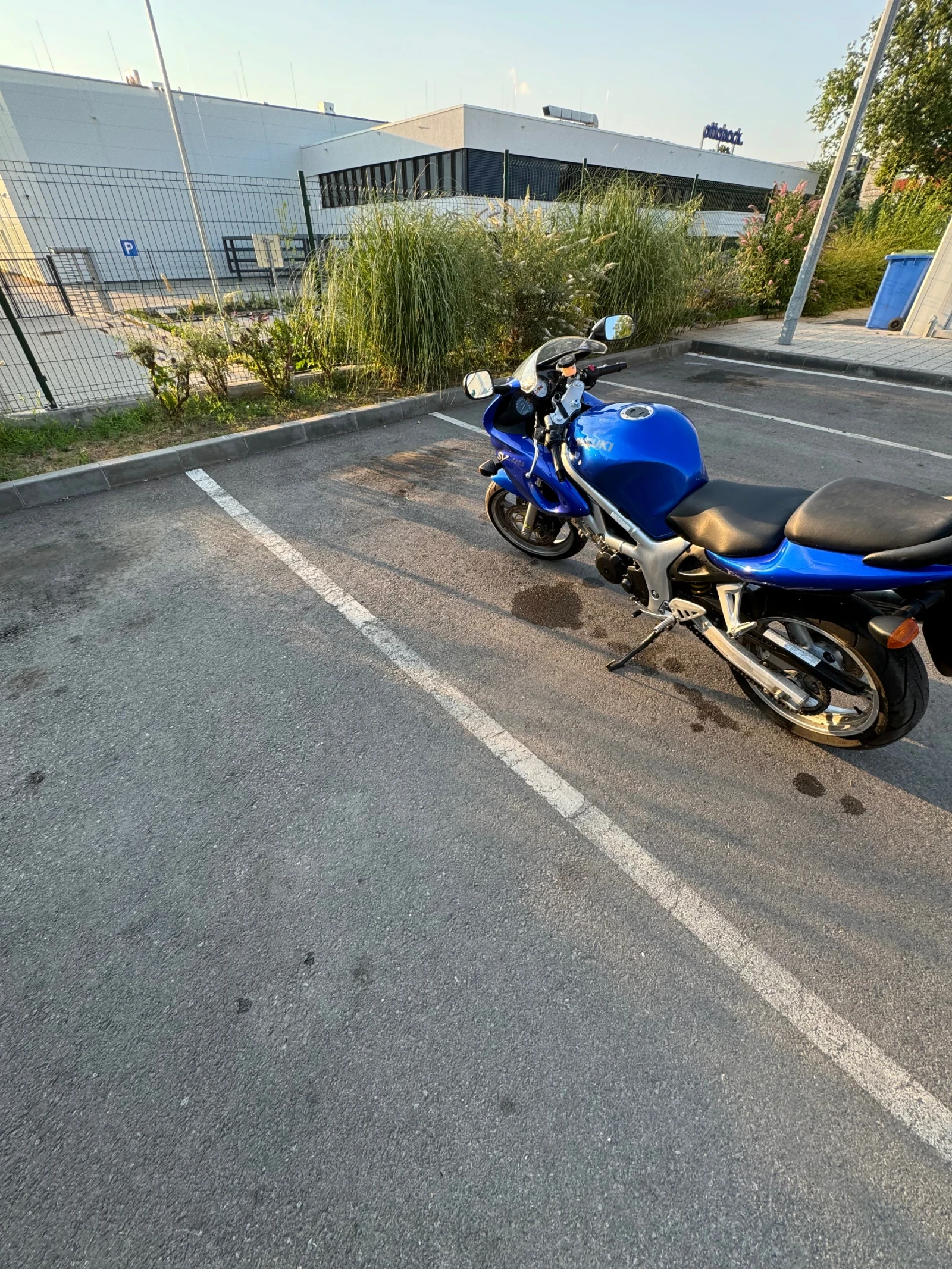 Suzuki SV  - изображение 6