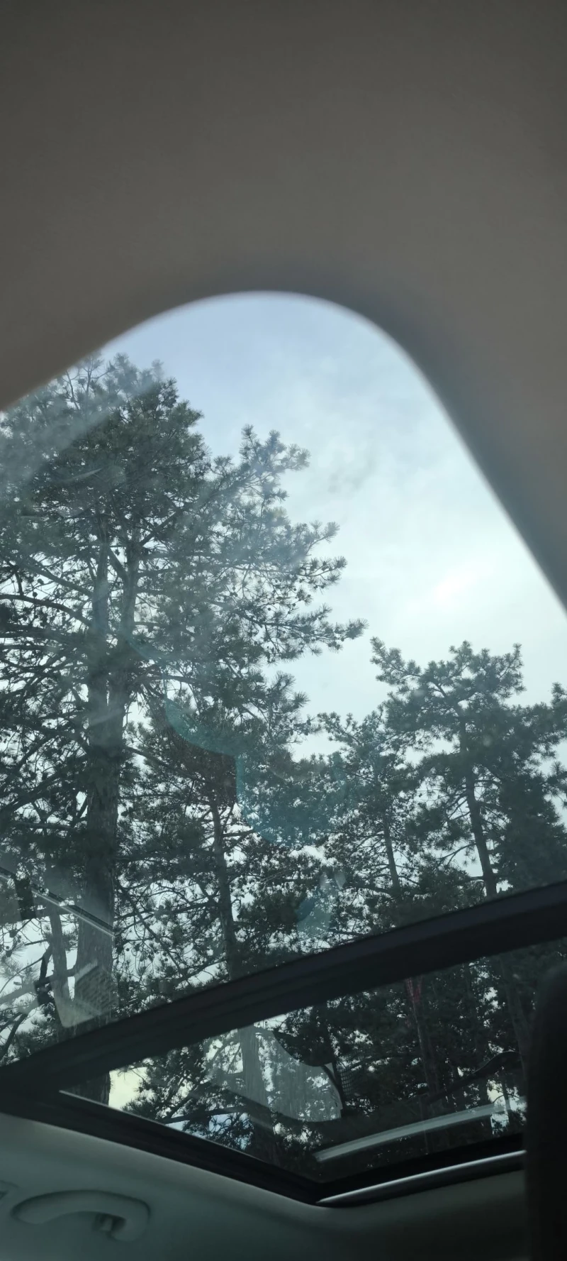 Skoda Octavia Scout 4x4 184 h.p., снимка 6 - Автомобили и джипове - 52474974