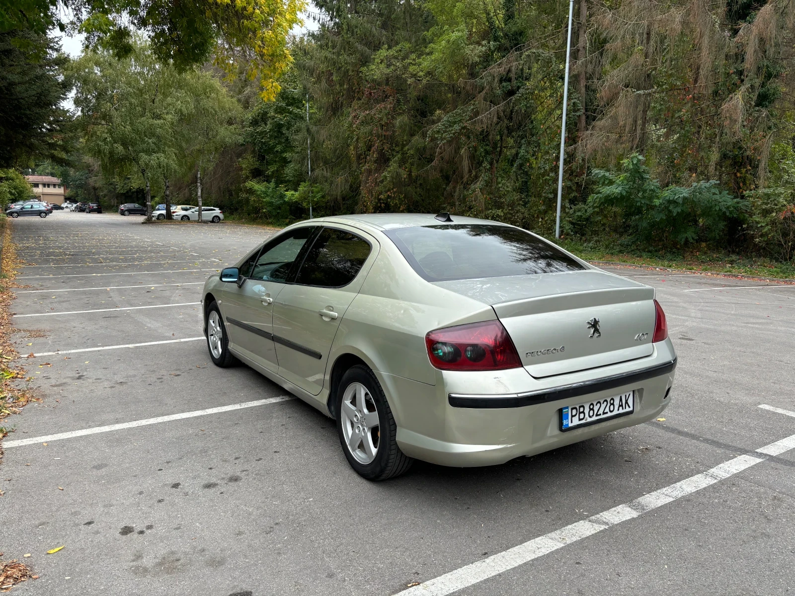 Peugeot 407 2.0 LPG - изображение 4