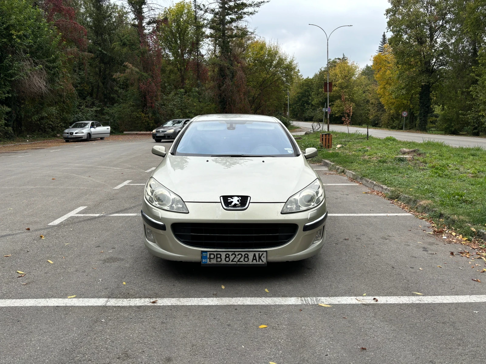 Peugeot 407 2.0 LPG - изображение 2