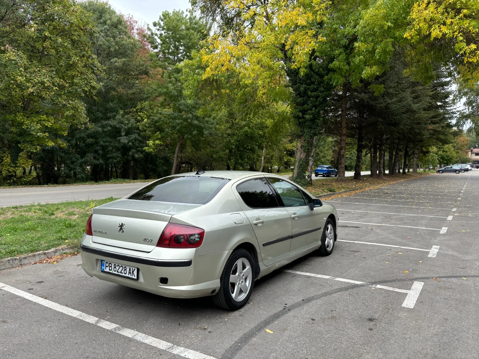 Peugeot 407 2.0 LPG - изображение 6