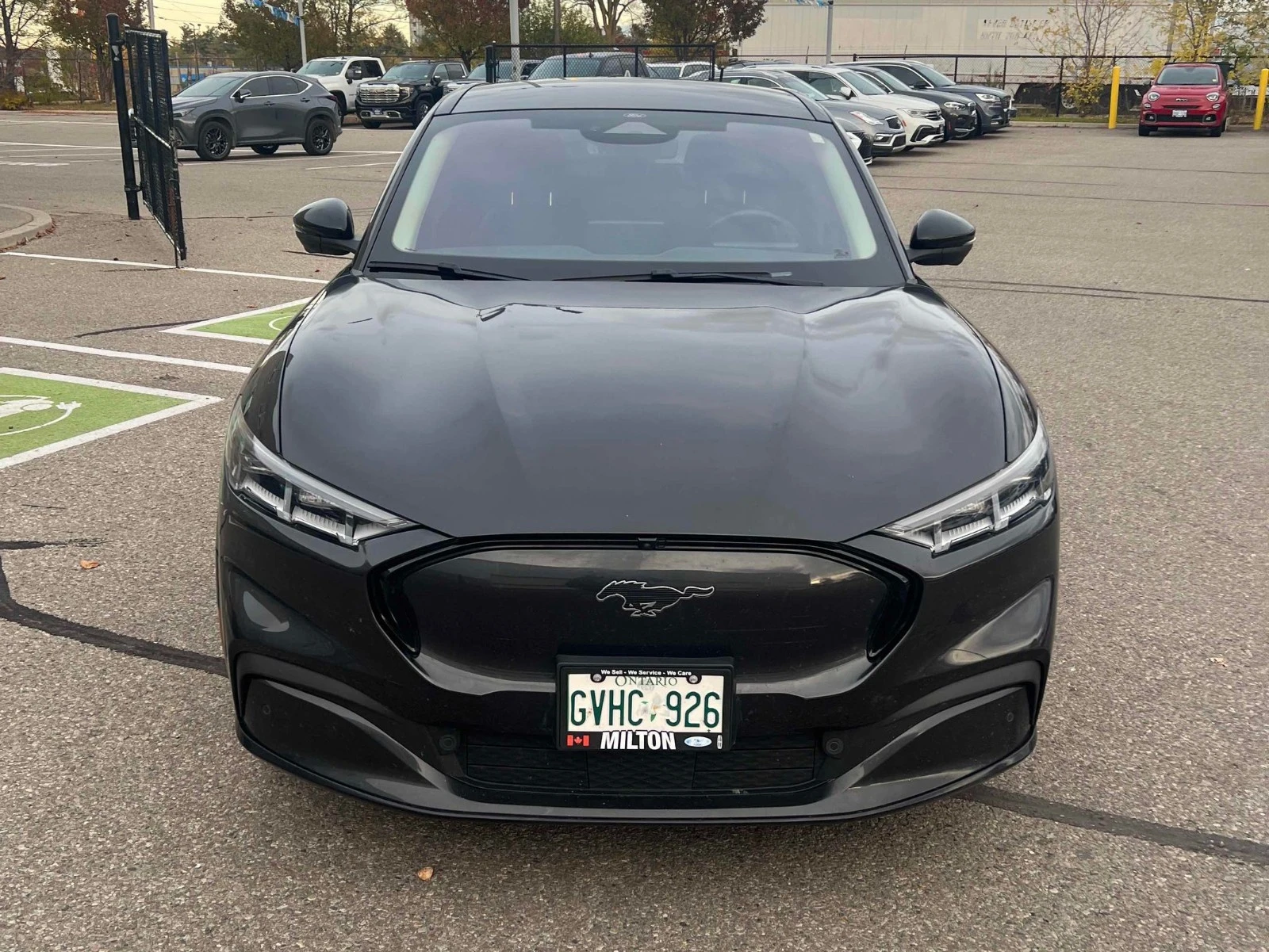 Ford Mustang Mach-E Premium CARFAX АВТО КРЕДИТ  - изображение 6