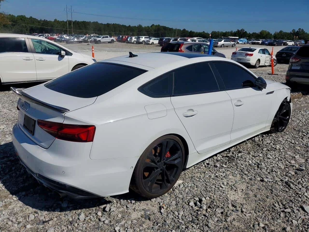 Audi S5  Prestige FULL !!! / Carfax / ����������  | Mobile.bg � ����������� 3