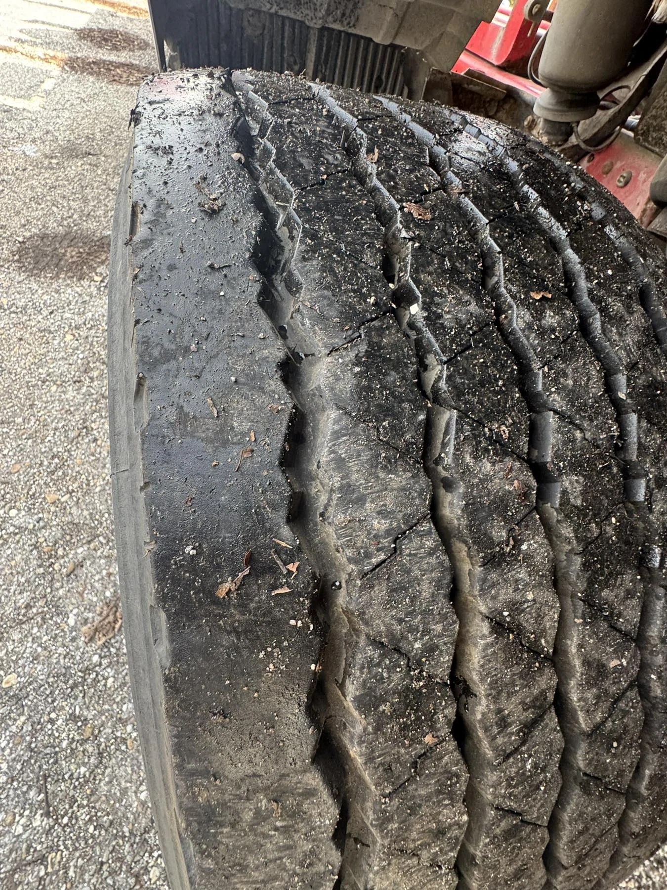 Man Tga  - изображение 5