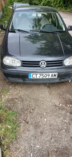     VW Golf