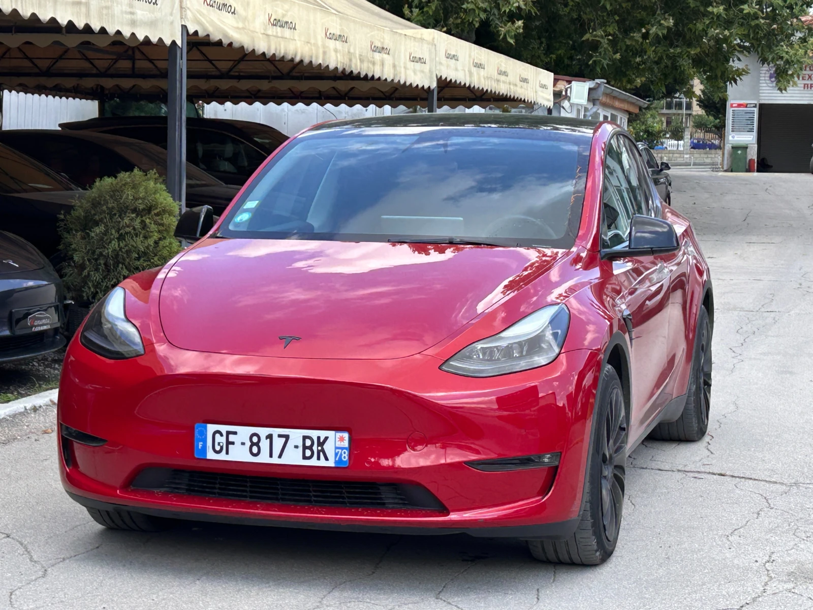 Tesla Model Y DUAL MOTOR LONG RANGE AWD 514КС