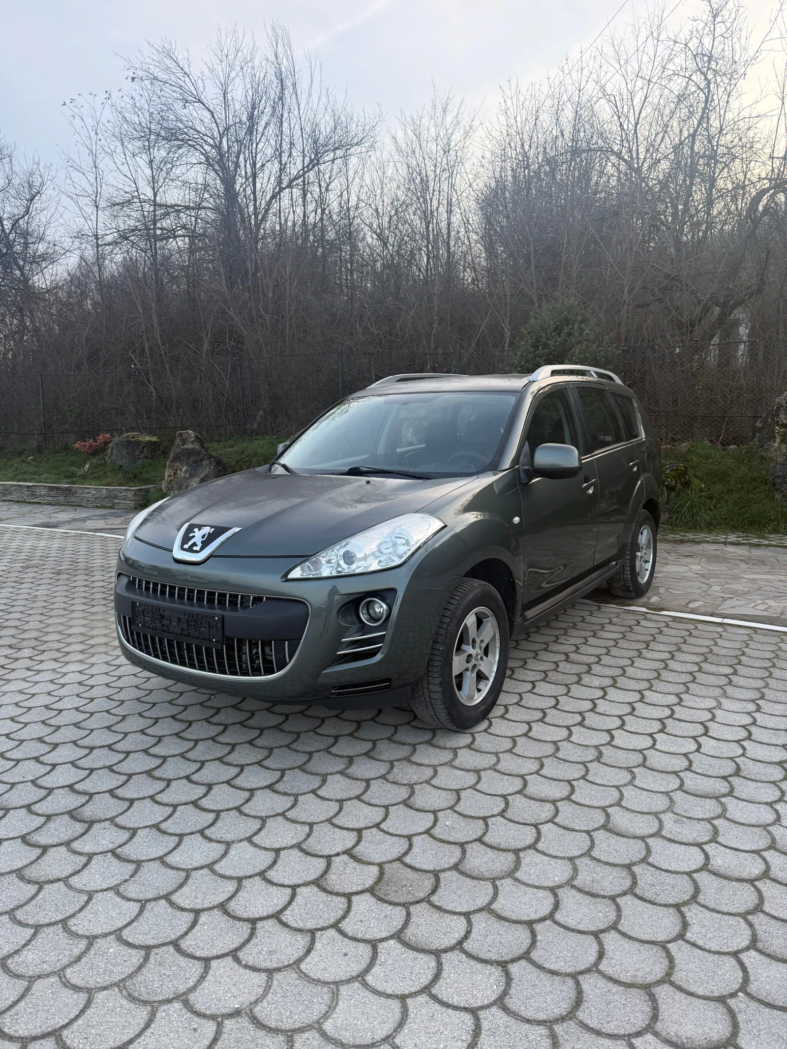 Peugeot 4007, снимка 1