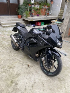 Kawasaki Ninja 250R