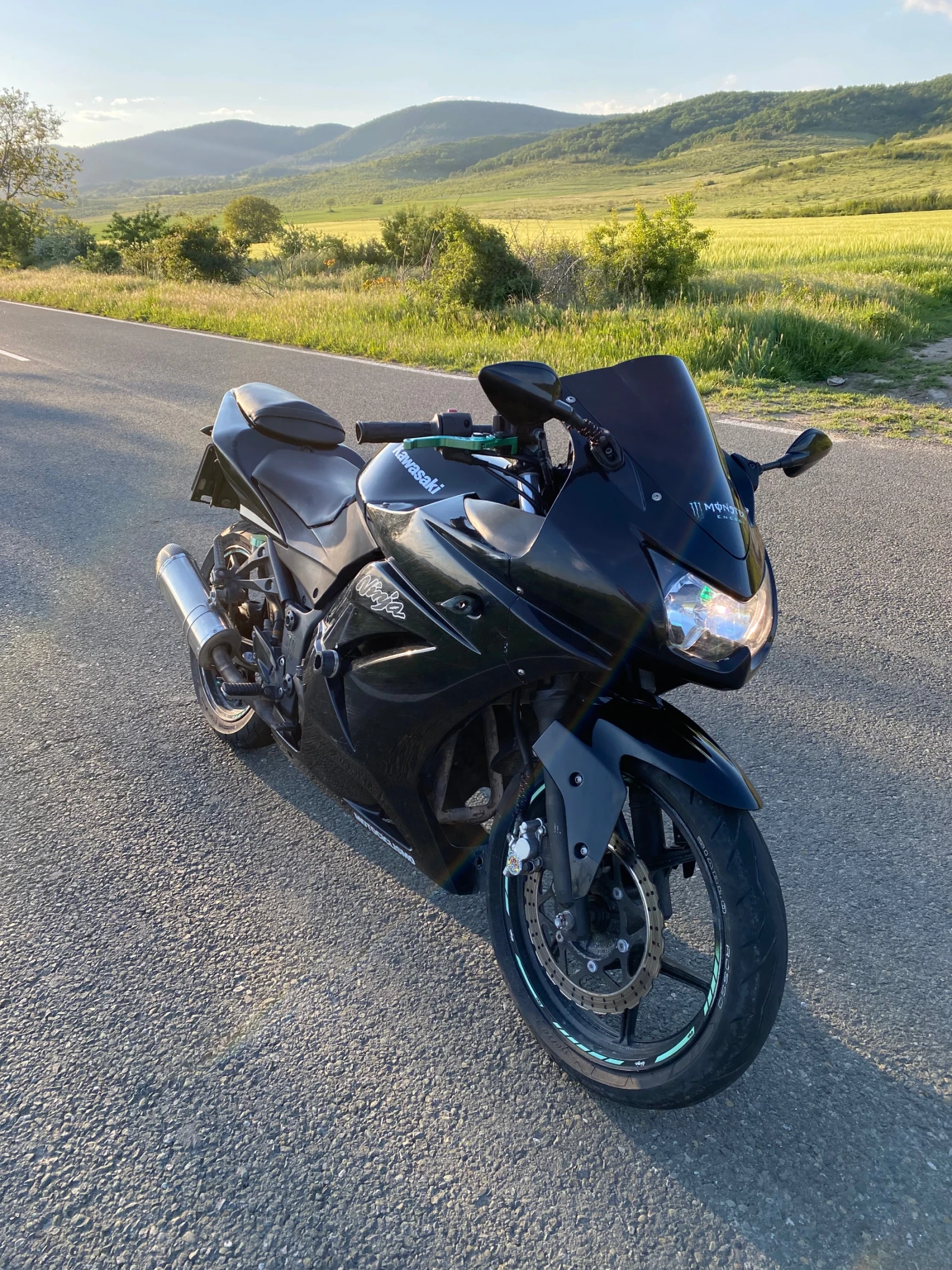 Kawasaki Ninja 250R