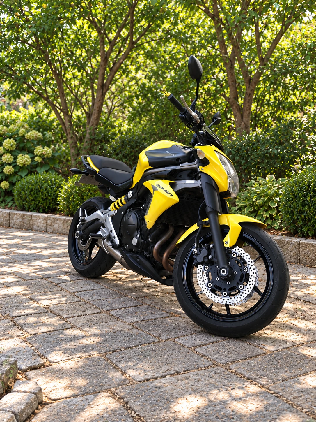 Kawasaki ER 6