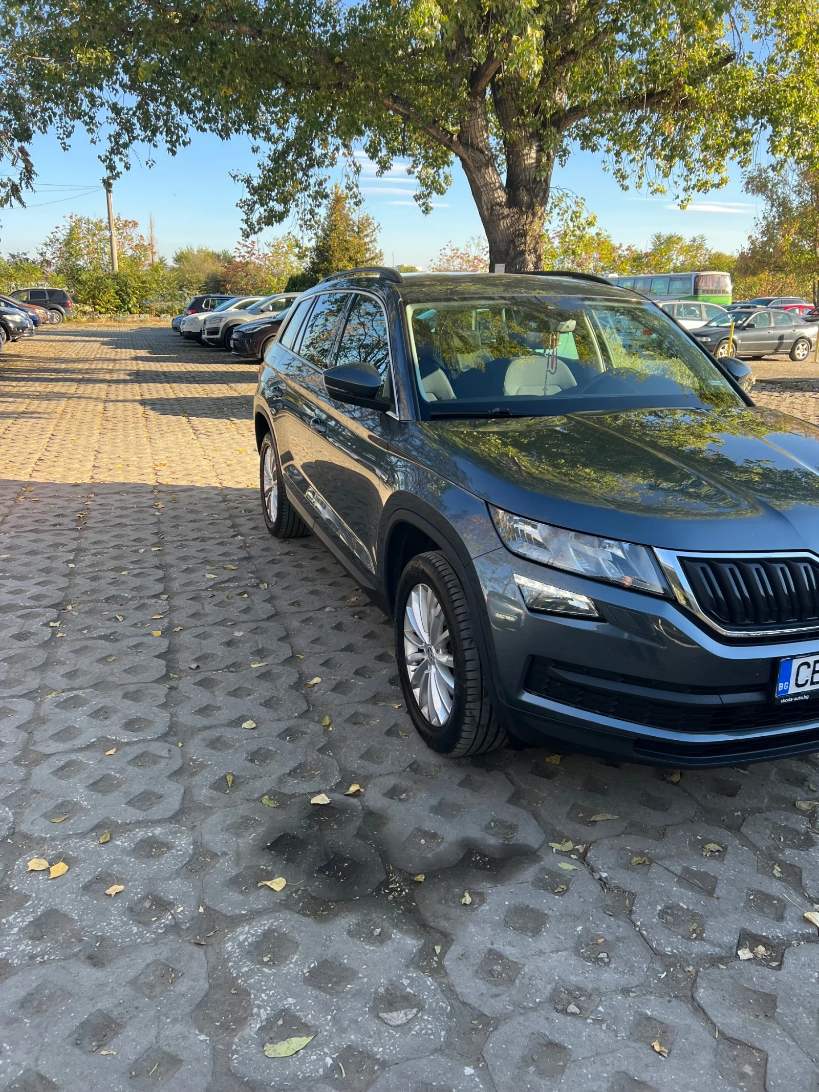 Skoda Kodiaq  - изображение 5