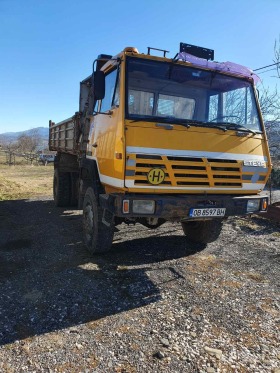 Steyr 19 19s31 4x4, снимка 1 - Камиони - 44807456