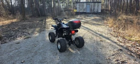 Други Друг 200cc, снимка 2