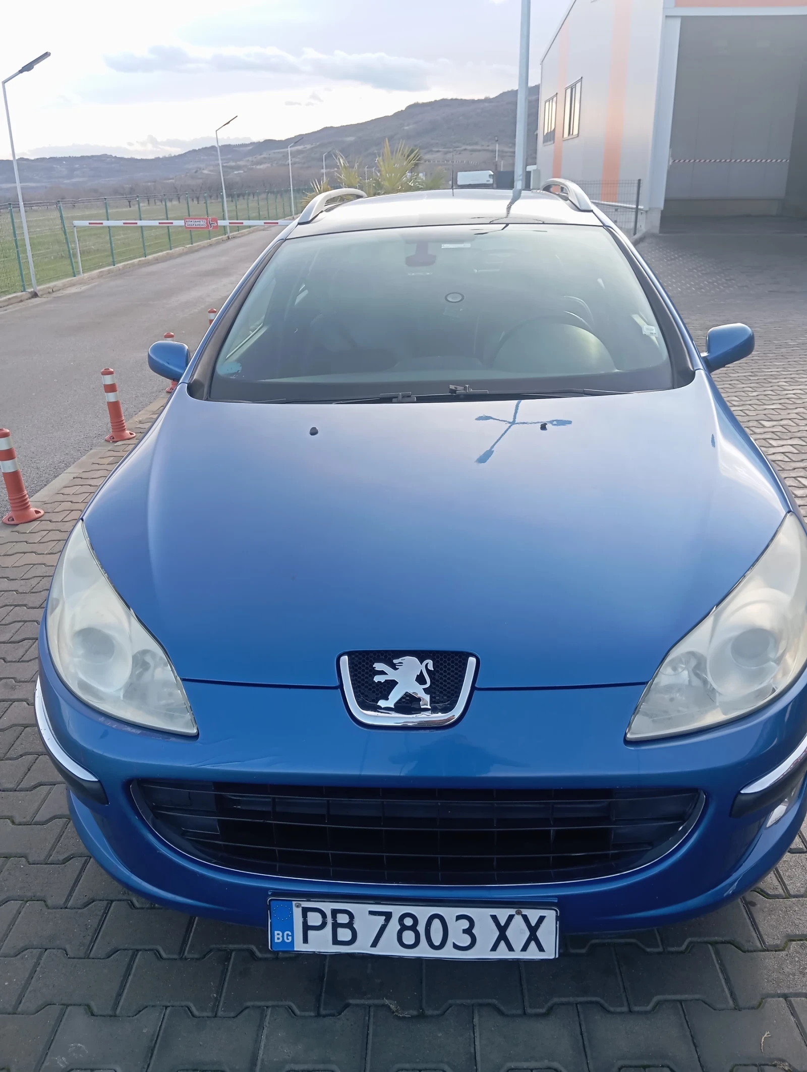 Peugeot 407 SW 2.2, снимка 1