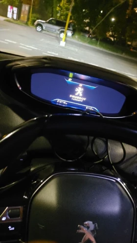 Официална дилърска диагностика,Оглед преди покупка,проверка реални км, решаване на проблеми..., снимка 12