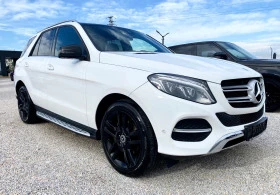 Mercedes-Benz GLE 250 4matic panorama