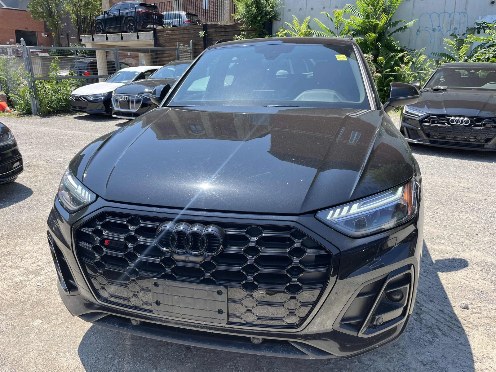 Audi SQ5 Technik, ПРОГНОЗНА ЦЕНА до БГ, снимка 6 - Автомобили и джипове - 55578163