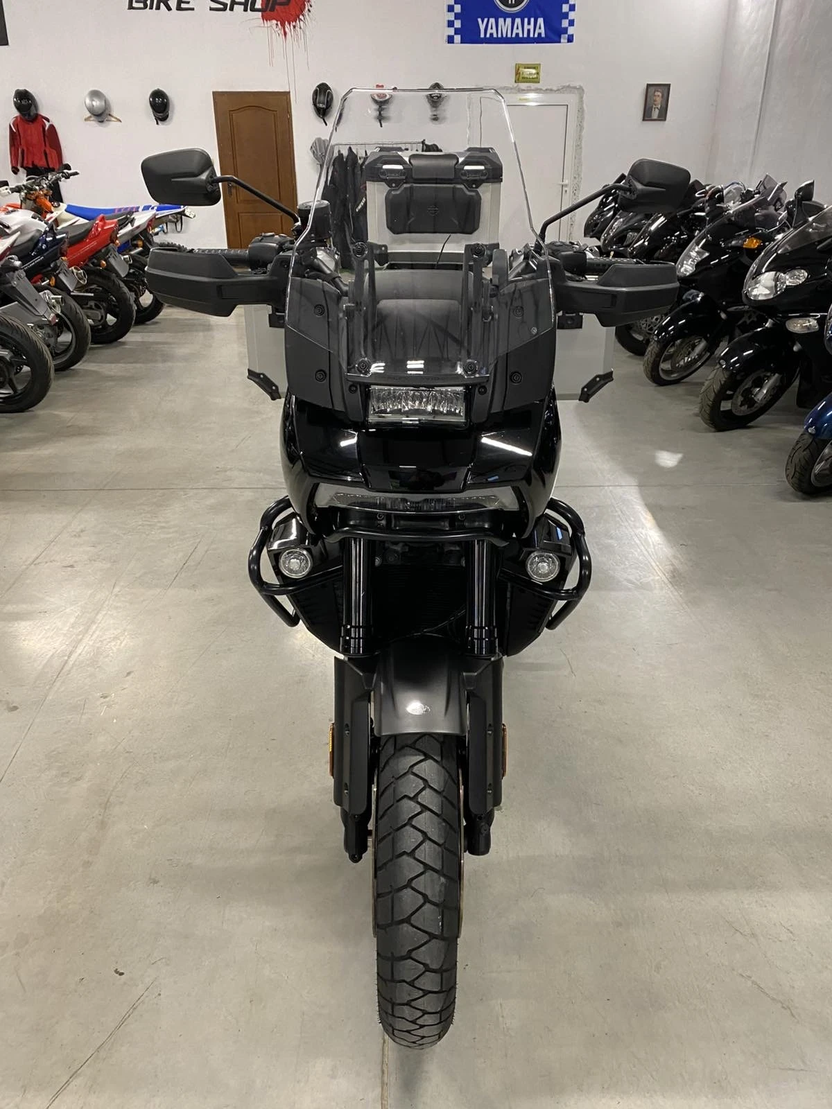 Harley-Davidson Touring Pan America Special - изображение 8