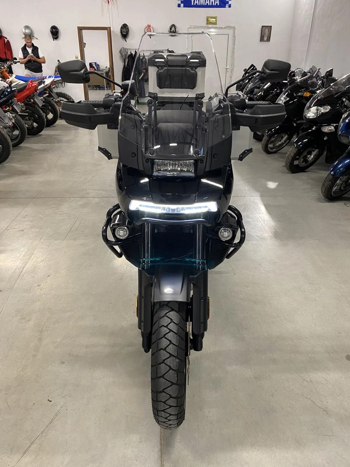 Harley-Davidson Touring Pan America Special - изображение 10