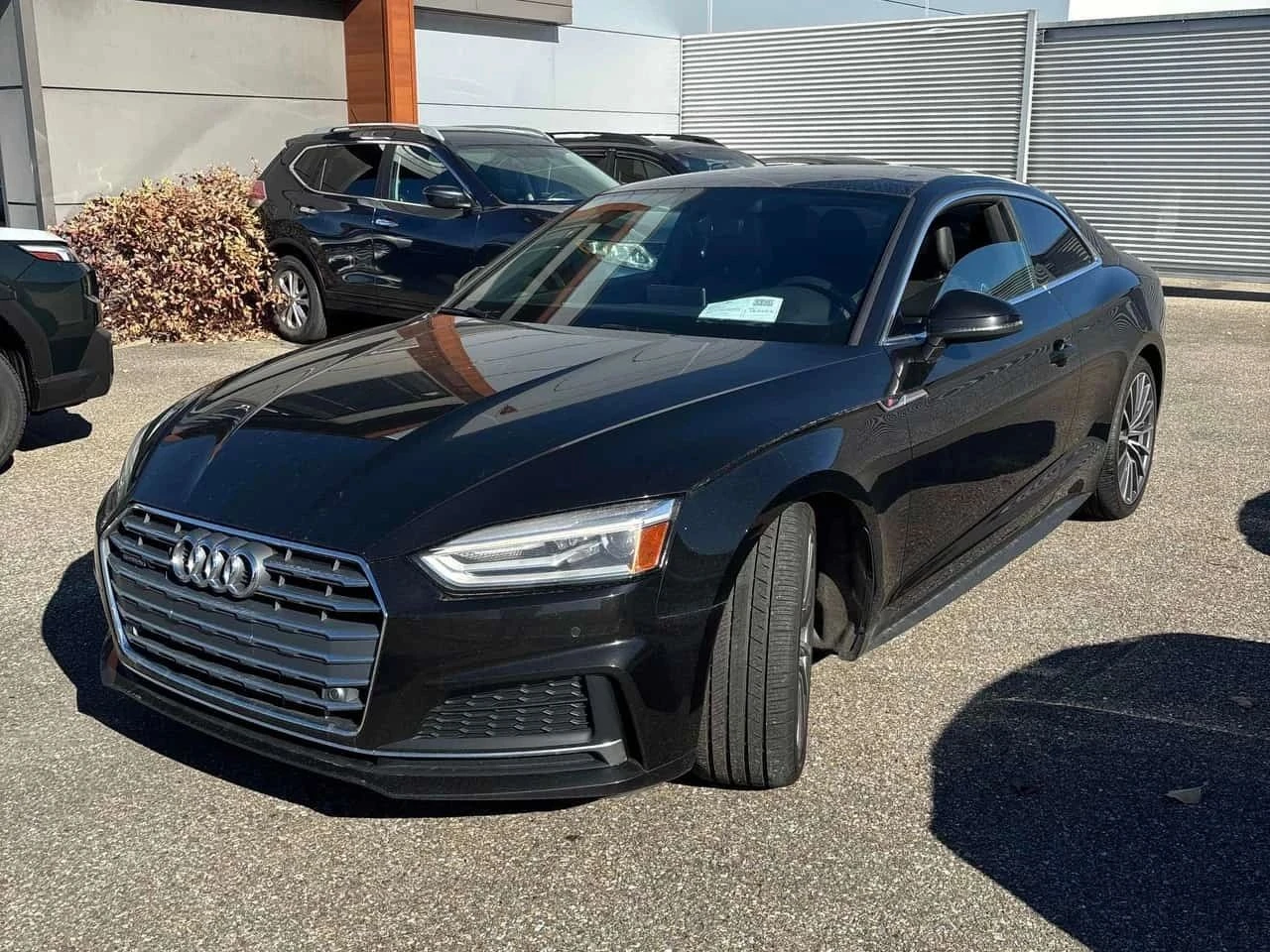 Audi Coupe