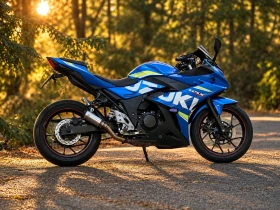 ����� �� �������� �� Suzuki Gsxr 250