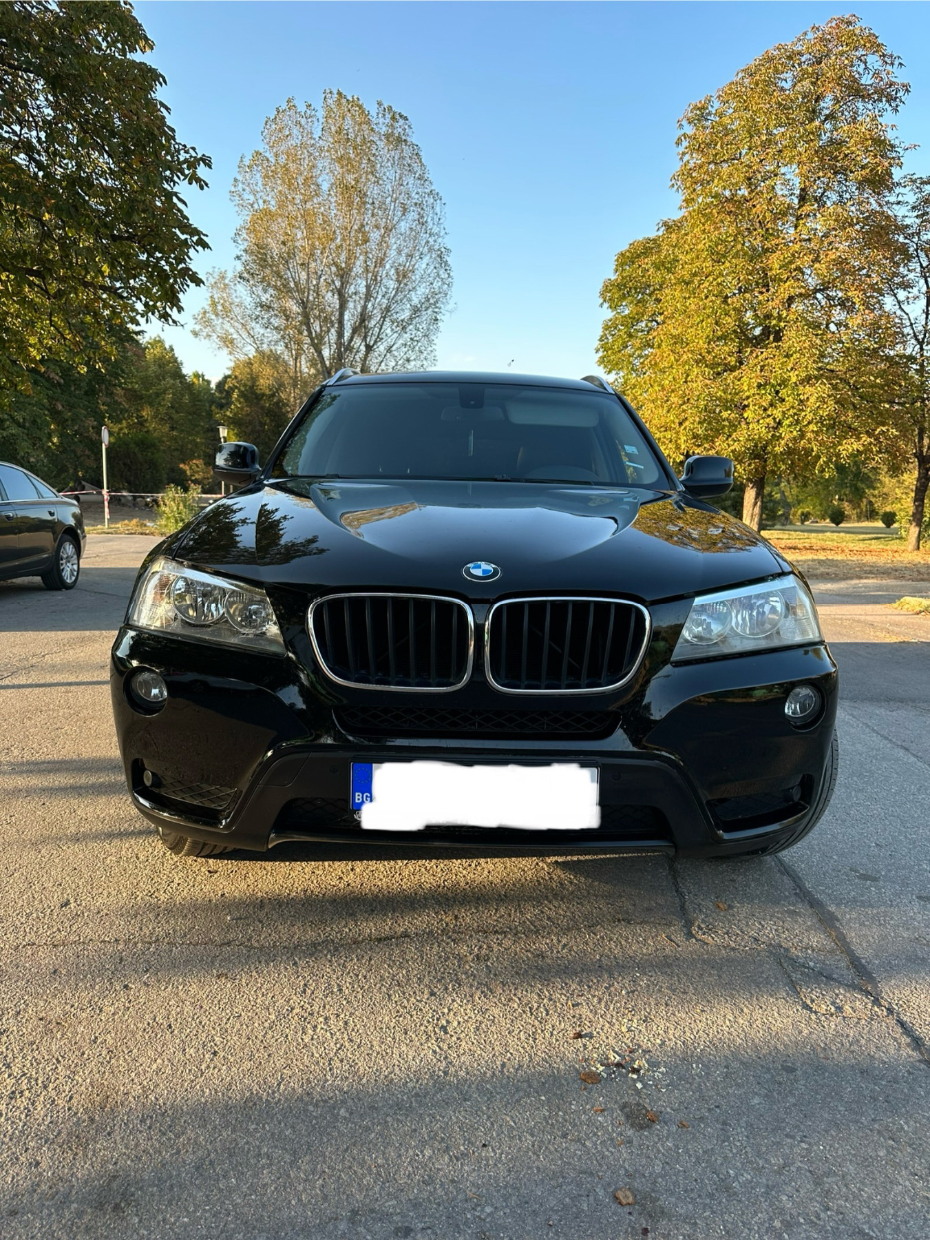 BMW X3 1.8D / sDrive / NAVI - изображение 1