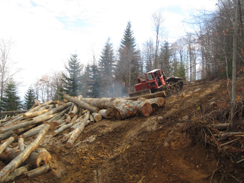 Специализирани машини Машини за дърводобив Онежец ТДТ 55, снимка 5 - Селскостопанска техника - 45893663