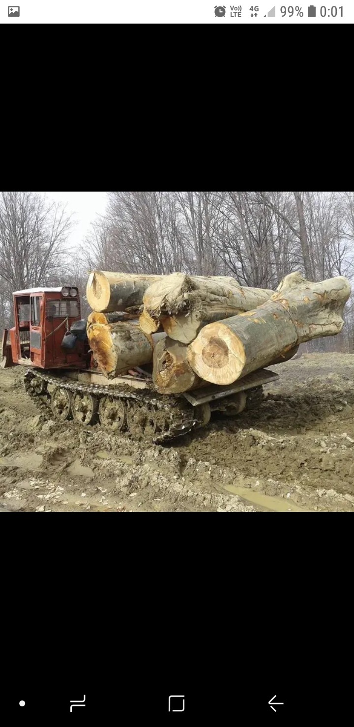 Специализирани машини Машини за дърводобив Онежец ТДТ 55, снимка 2 - Селскостопанска техника - 45893663