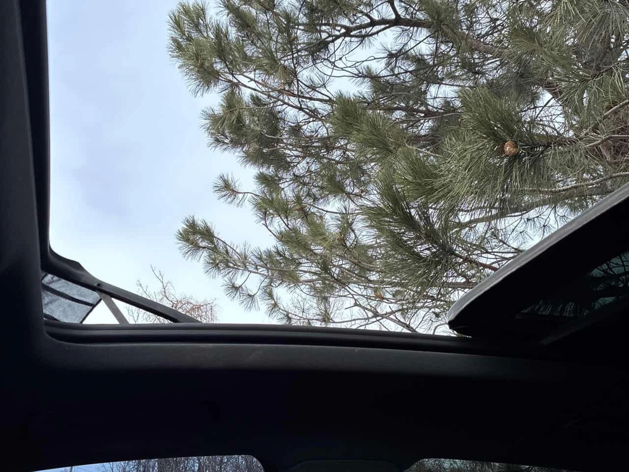 Audi SQ5 TECHNIK /B&O/360/PANO/NAVI/LANE ASSIST, снимка 13 - Автомобили и джипове - 53739885