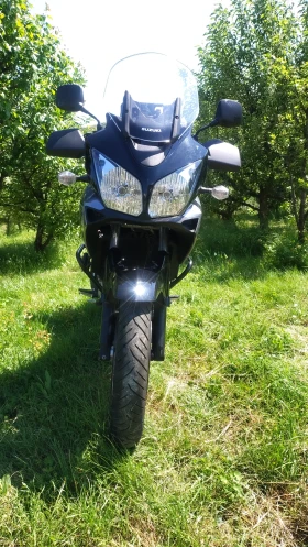 Suzuki DL, снимка 8