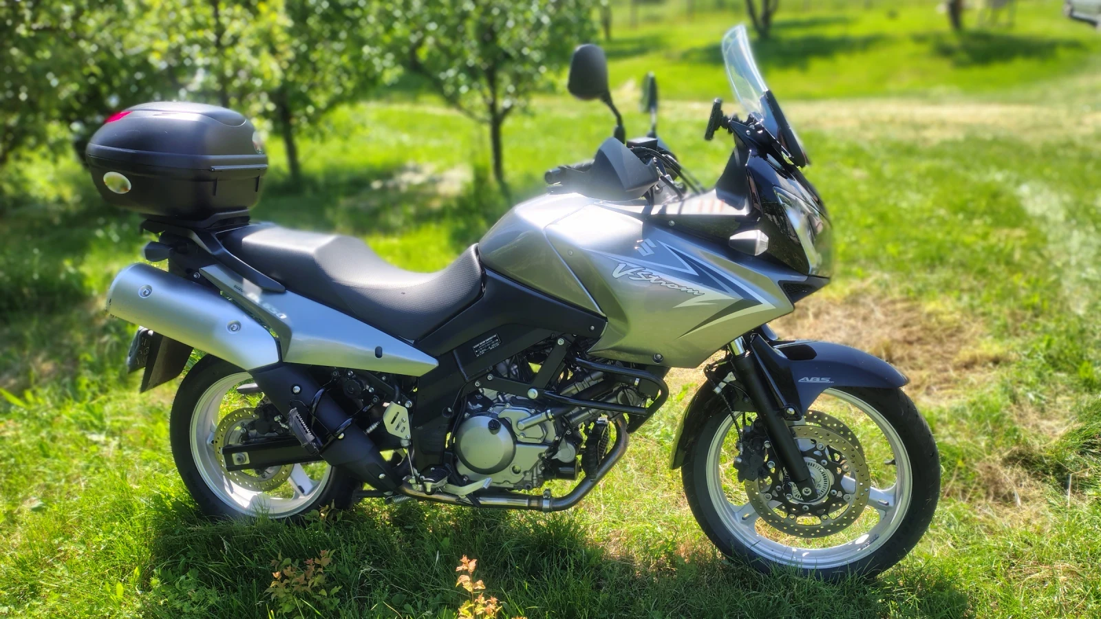 Suzuki DL