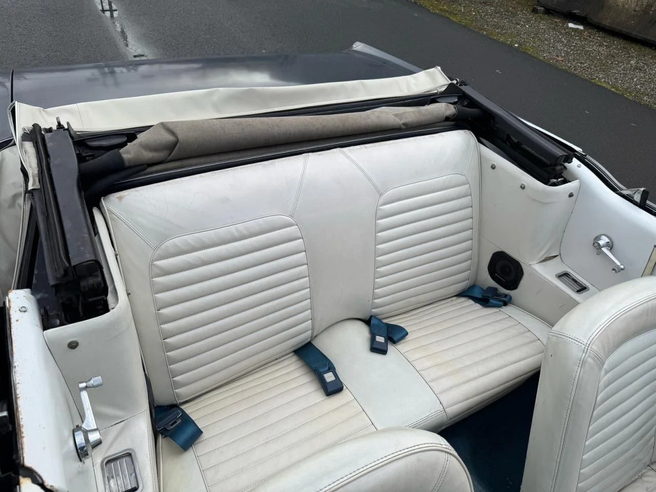 Ford Mustang  - изображение 6