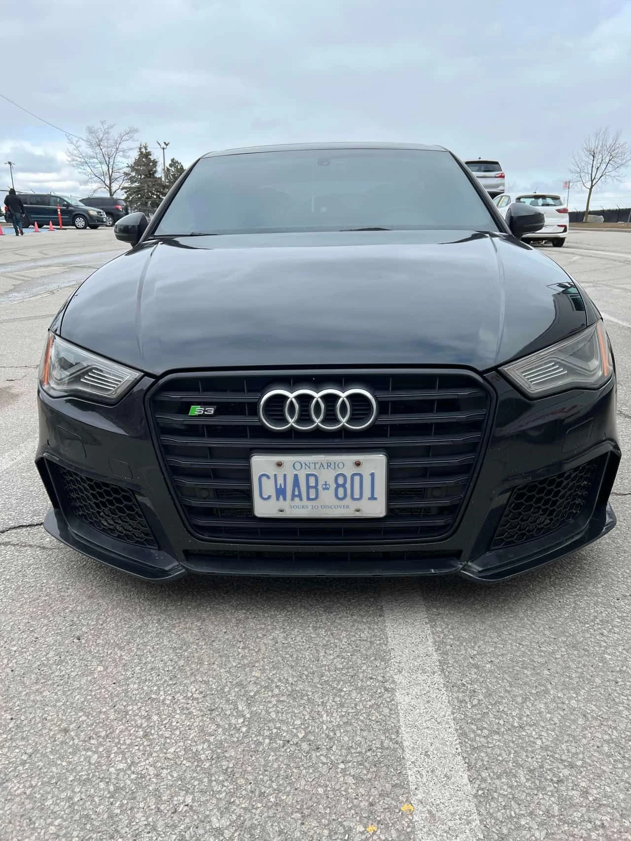 Audi S3  2.0T Technik  STAGE 3 , снимка 6 - Автомобили и джипове - 53983175