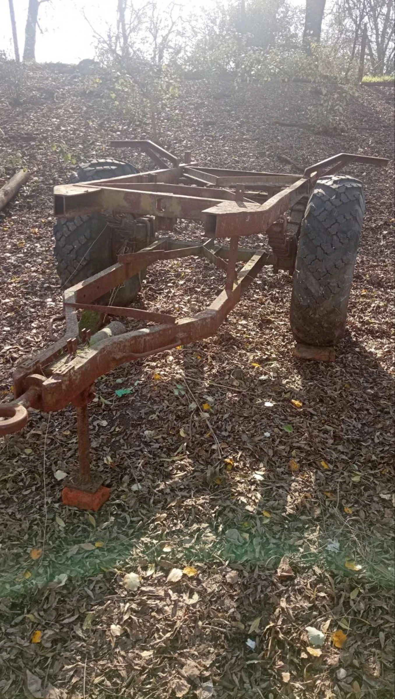 Друг вид Български  - изображение 2