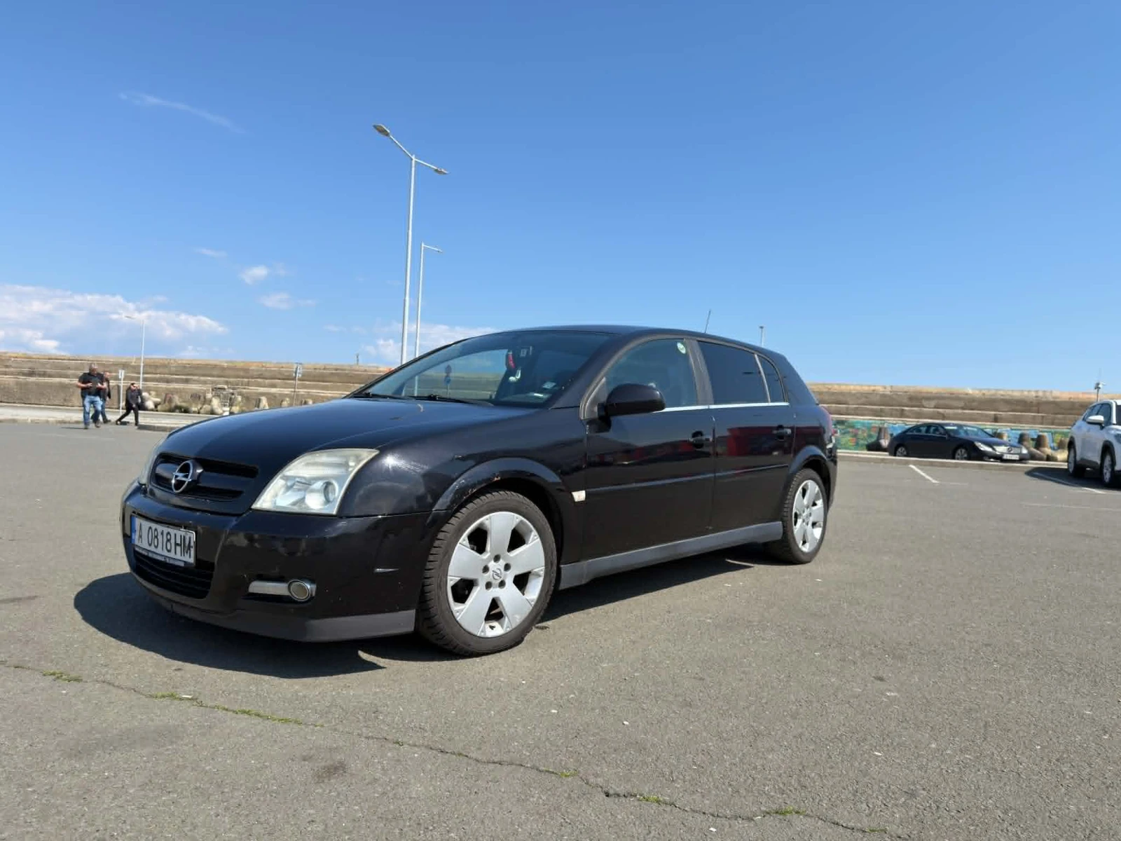 Opel Signum 1.9 CDTI, снимка 2 - Автомобили и джипове - 54761236