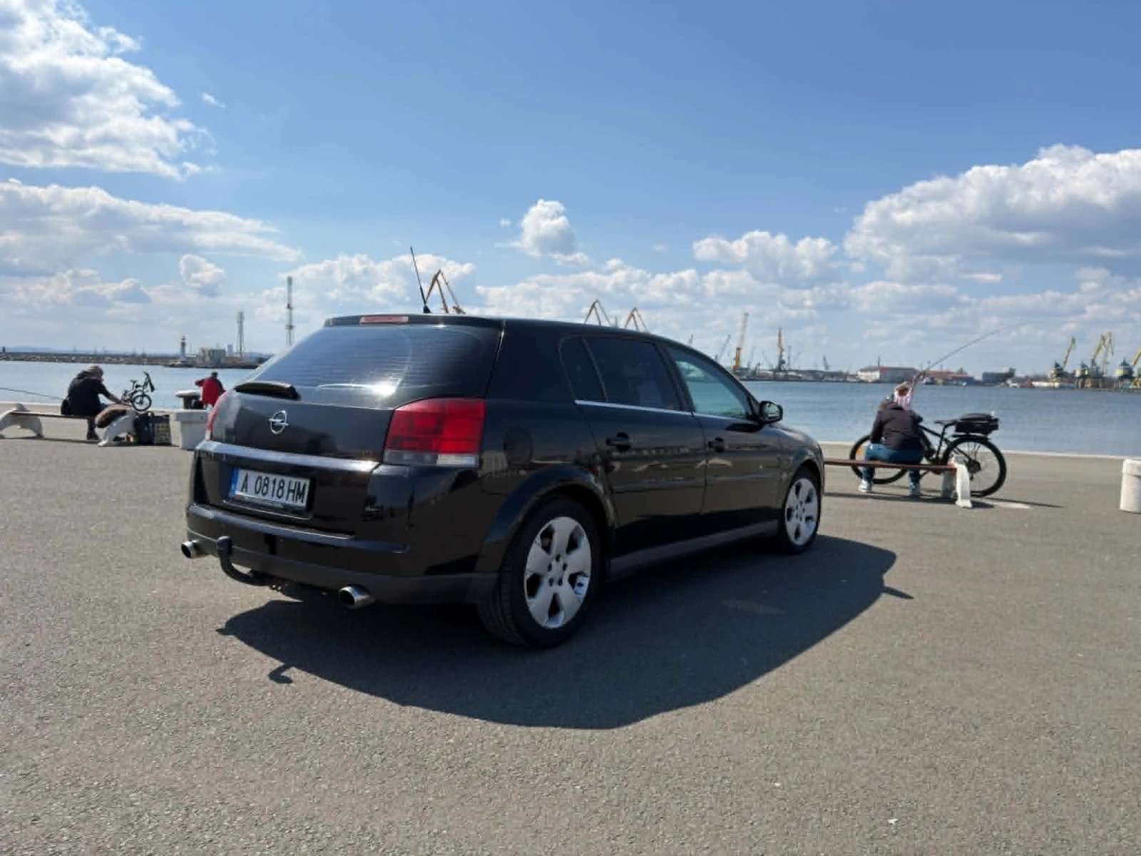 Opel Signum 1.9 CDTI, снимка 6 - Автомобили и джипове - 54761236