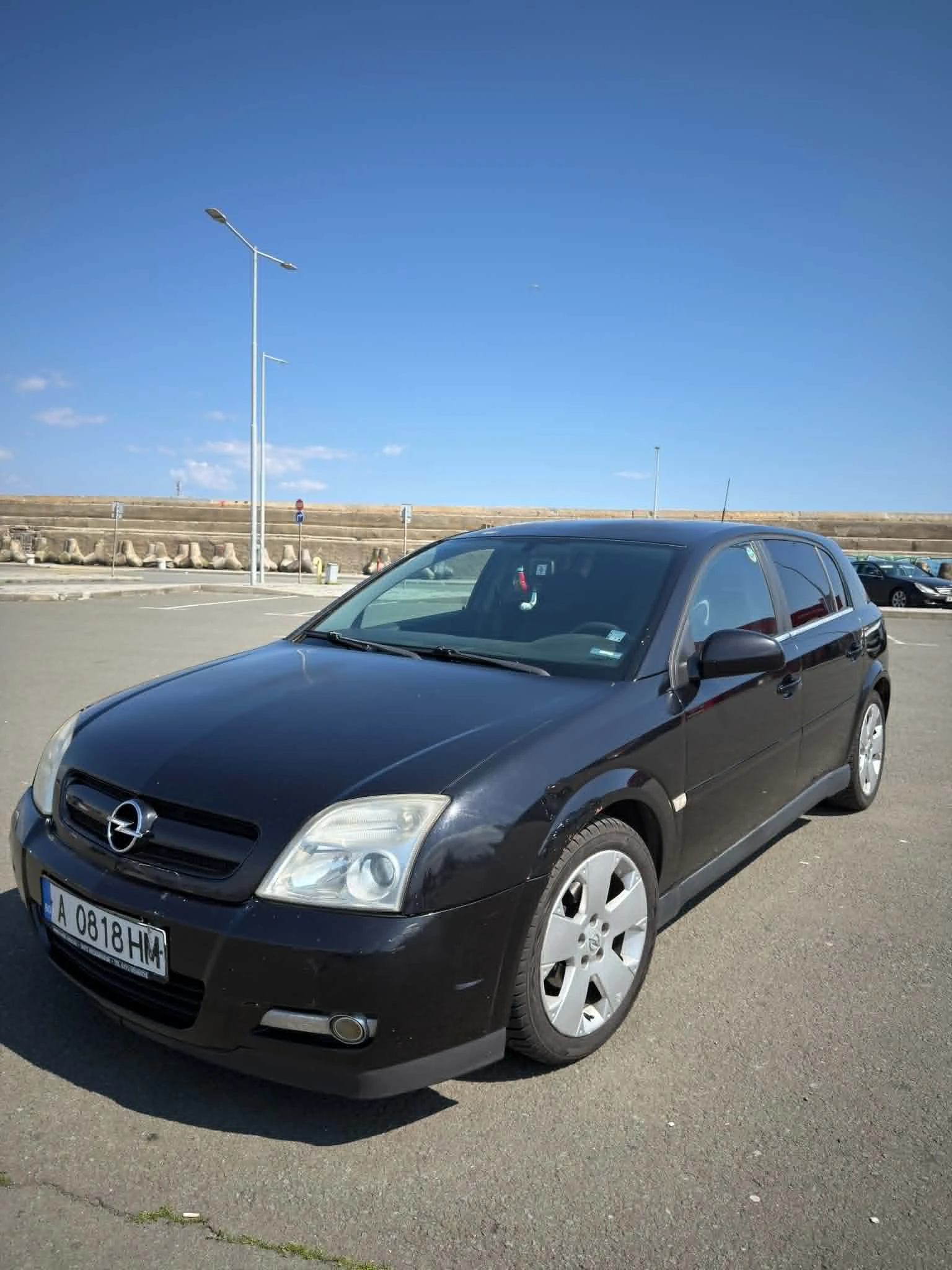 Opel Signum 1.9 CDTI, снимка 13 - Автомобили и джипове - 54761236
