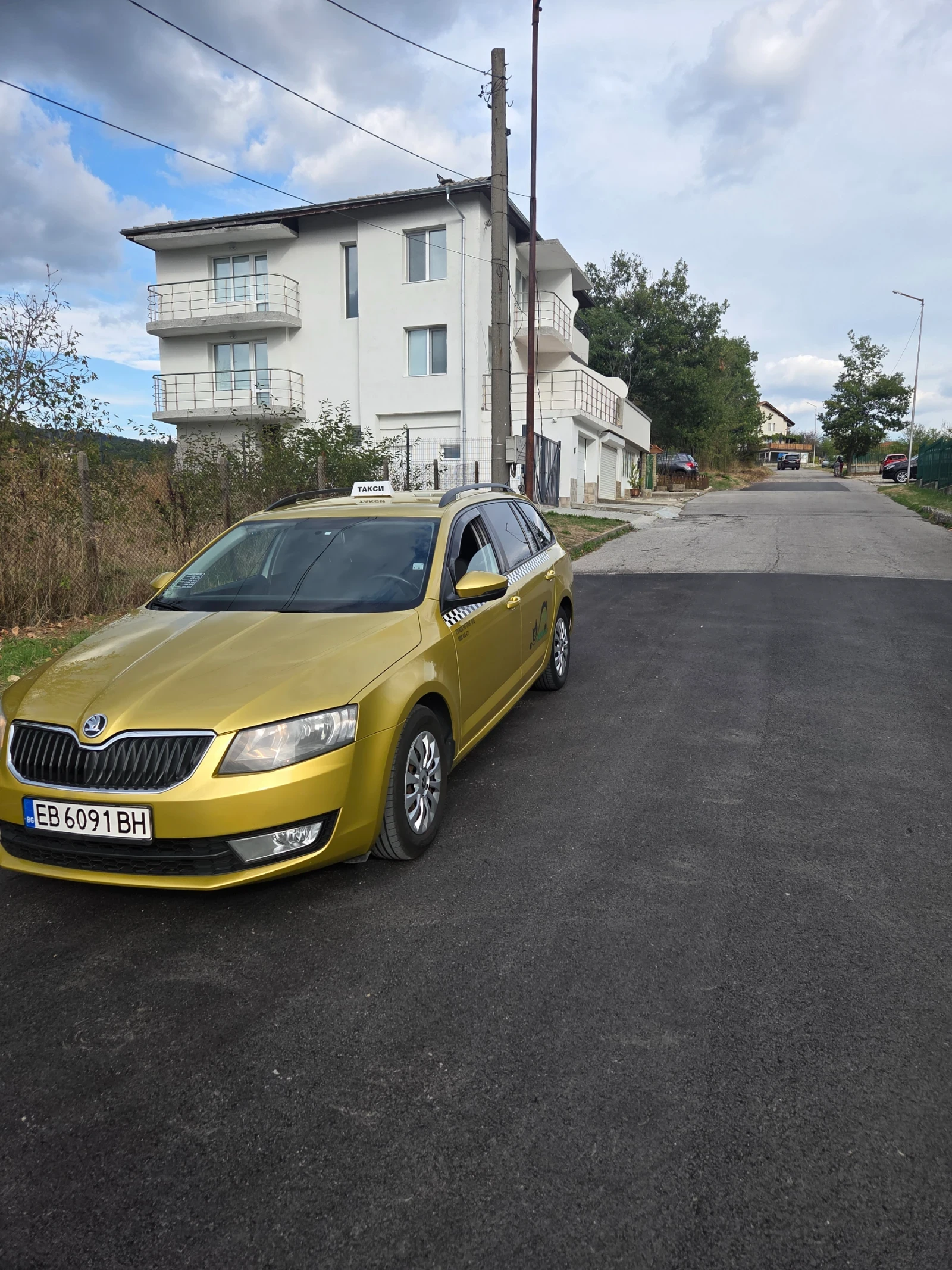 Skoda Octavia TDI, снимка 2 - Автомобили и джипове - 56300374