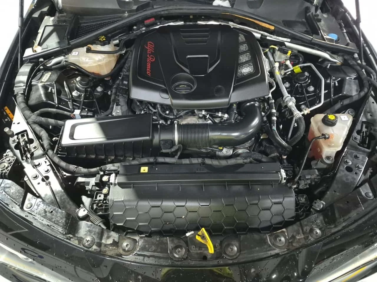 Alfa Romeo Giulia * 4DR SDN AWD * CARFAX * , снимка 17 - Автомобили и джипове - 56702465