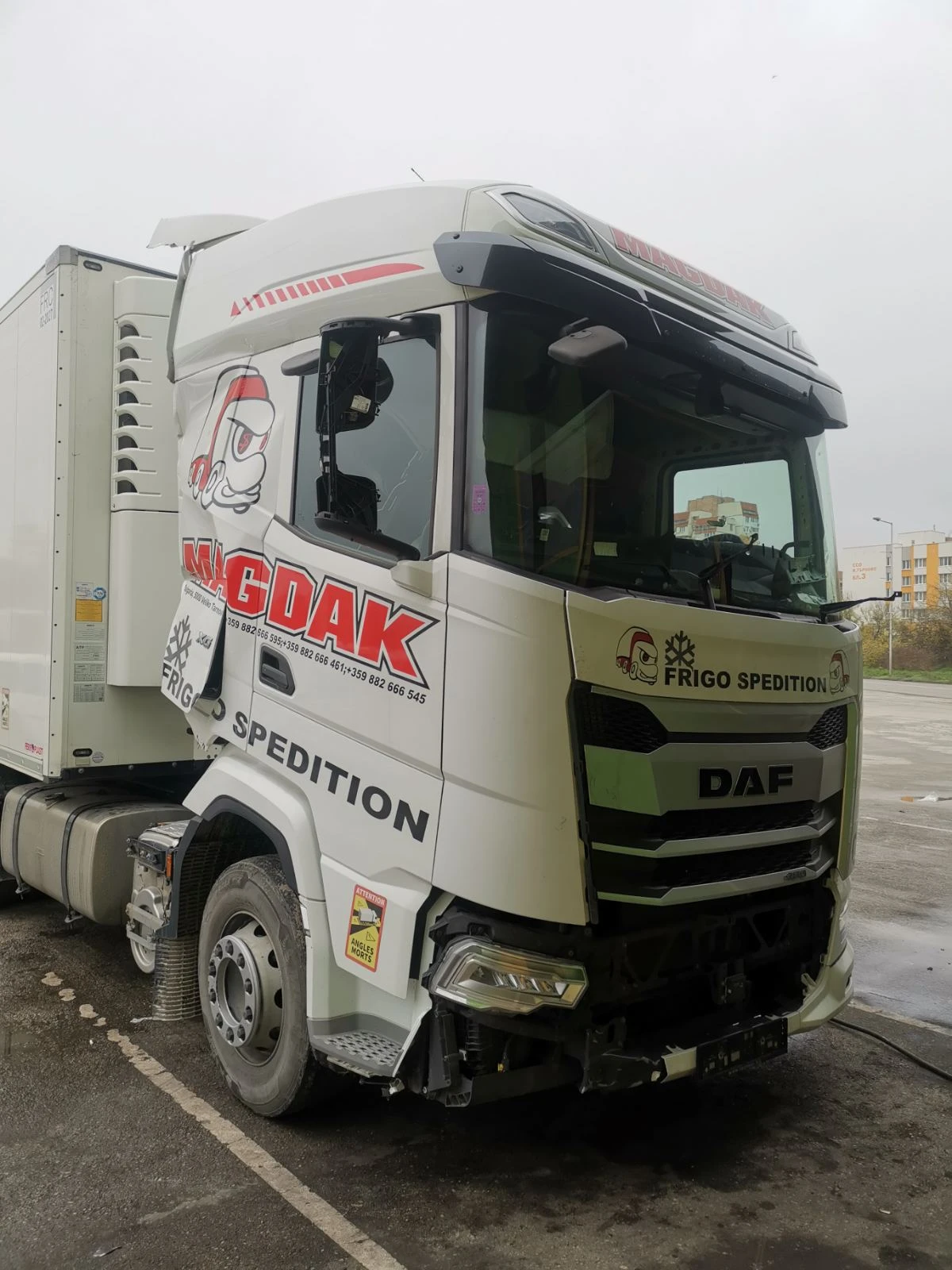 Daf XG  - изображение 2