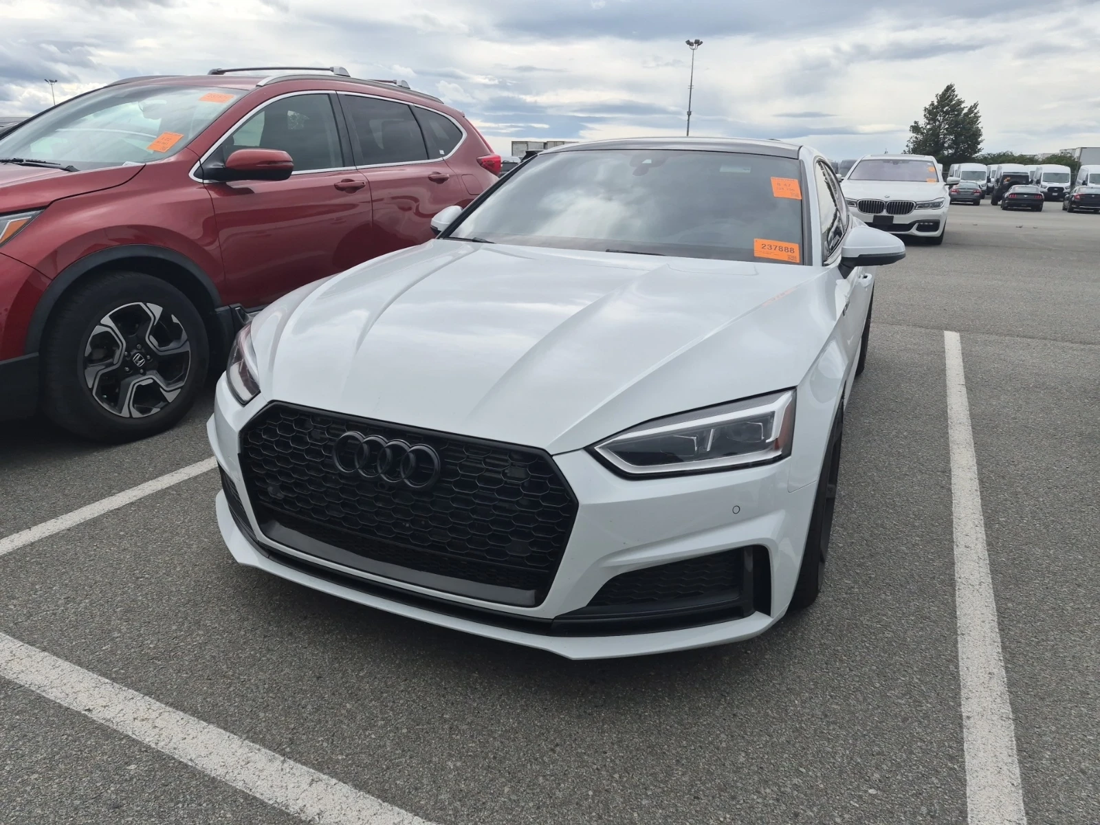 Audi S5 TECHNIK 