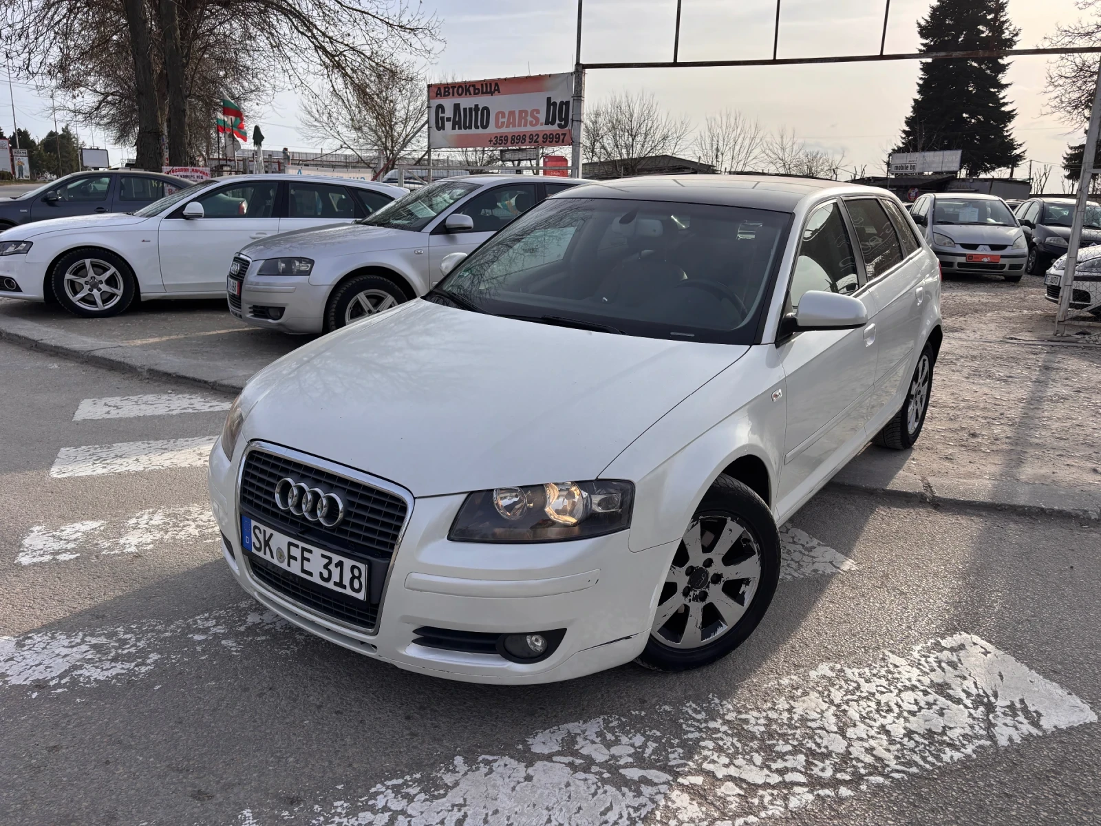 Audi A3 1.9TDI 105kc., снимка 5 - Автомобили и джипове - 54035293