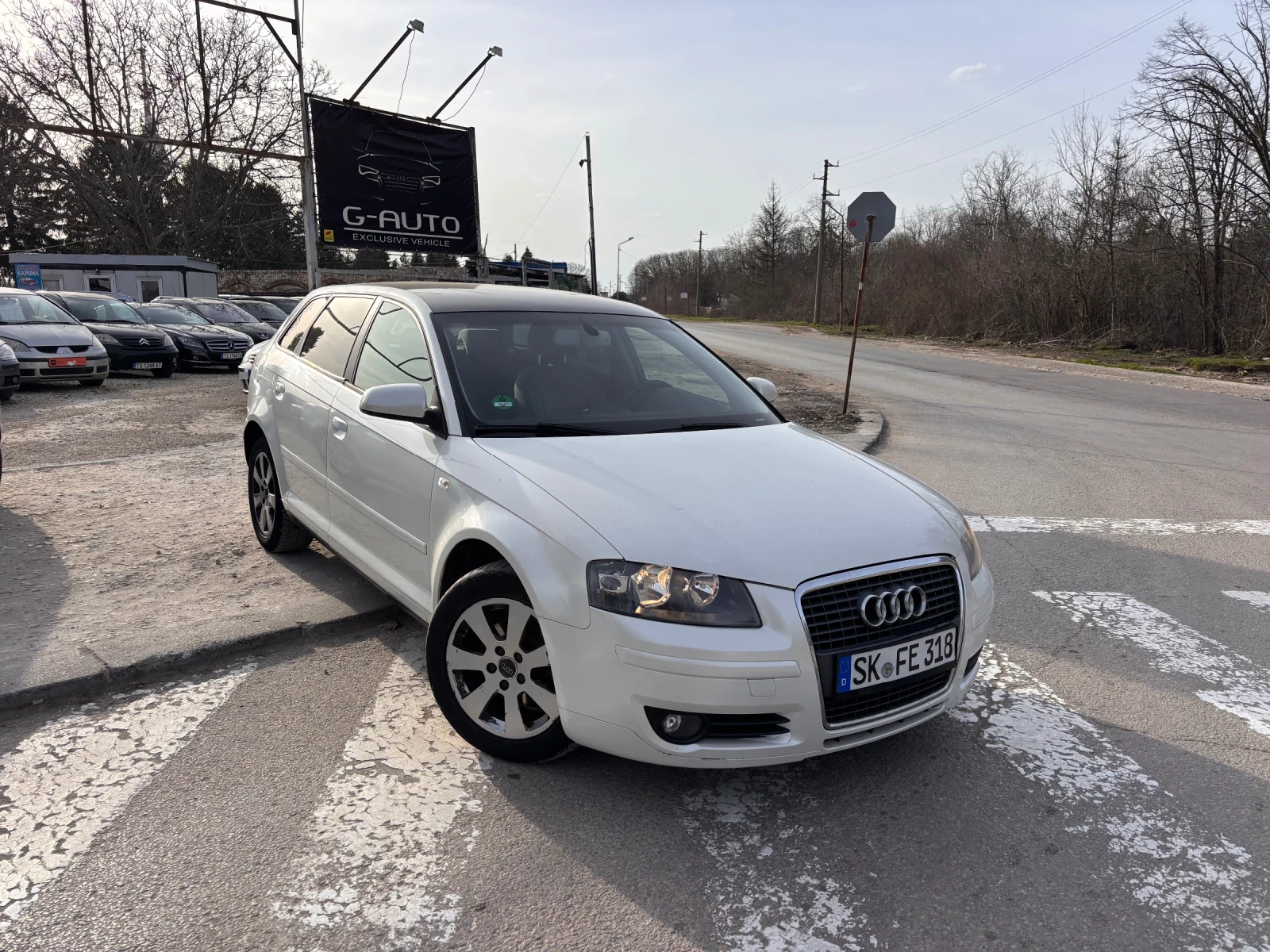 Audi A3 1.9TDI 105kc., снимка 3 - Автомобили и джипове - 54035293